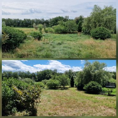 Vorher-Nachher-Mäharbeiten einer großen Wiesenfläche in Peißenberg